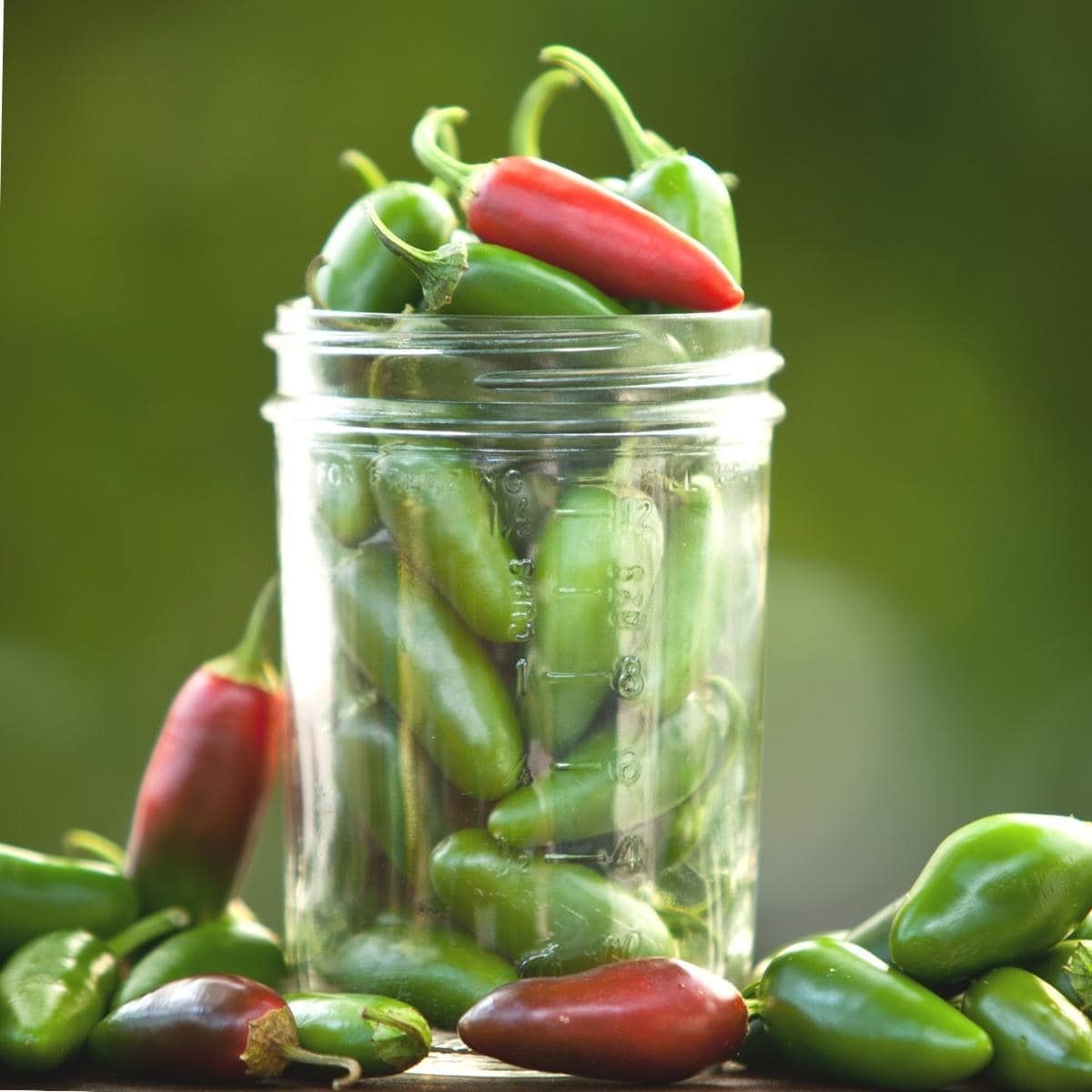 How To Store Jalapenos In A Jar