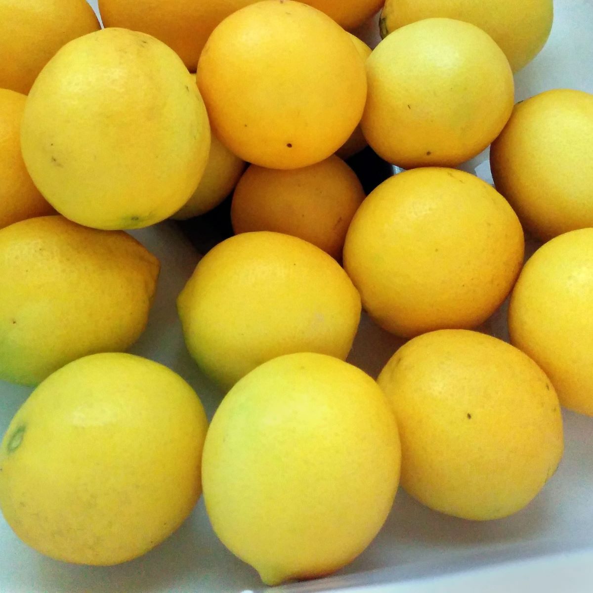 How To Store Lemons In Freezer