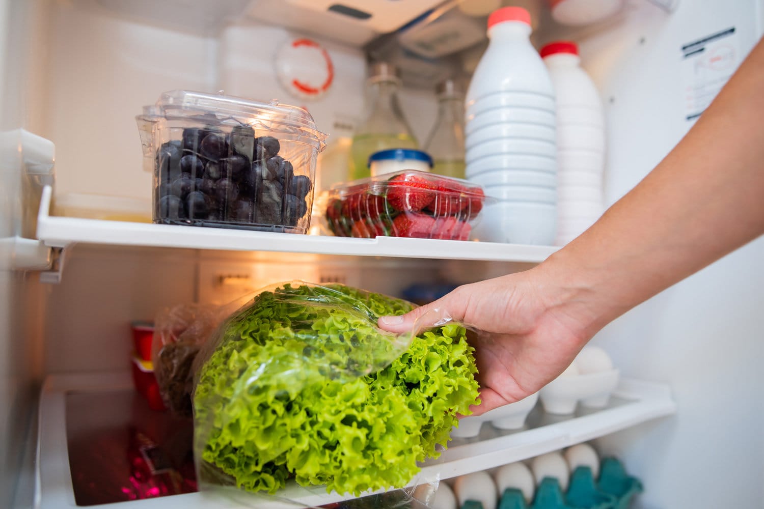 How To Store Lettuce In Refrigerator
