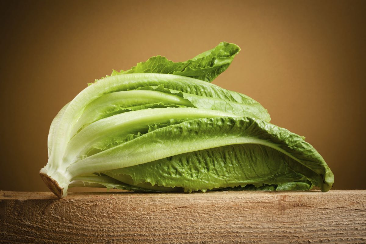 How To Store Lettuce To Last Longer