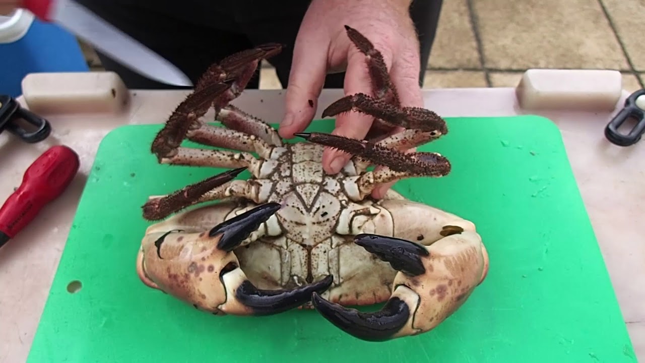 How To Store Live Crabs Before Cooking