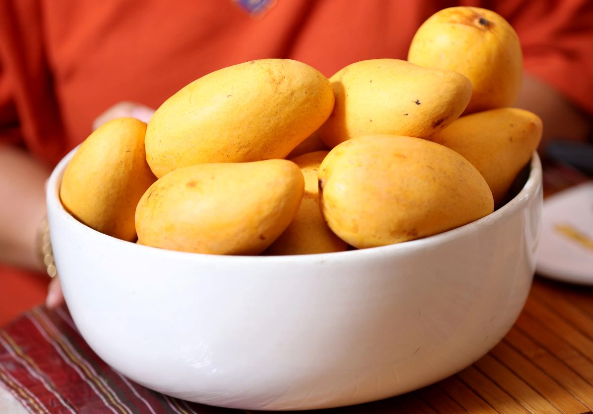 How To Store Mangoes At Home