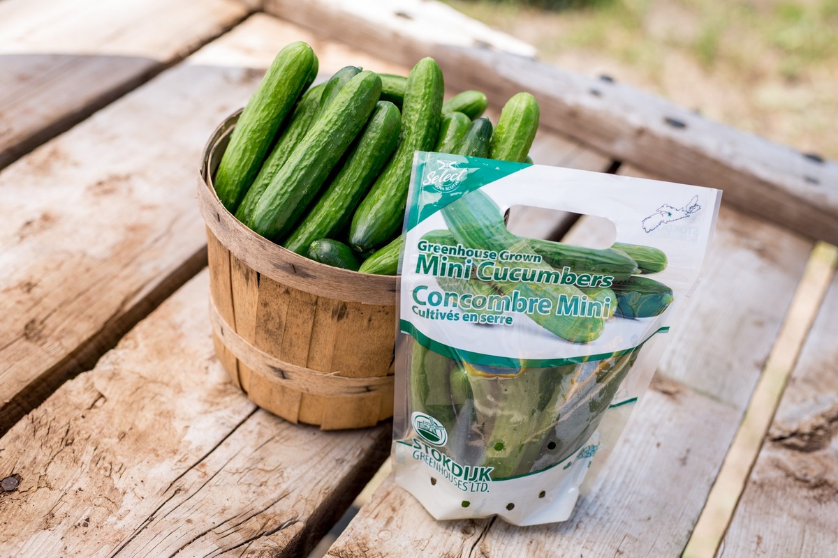 How To Store Mini Cucumbers