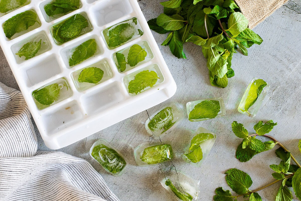 How To Store Mint Leaves In Freezer