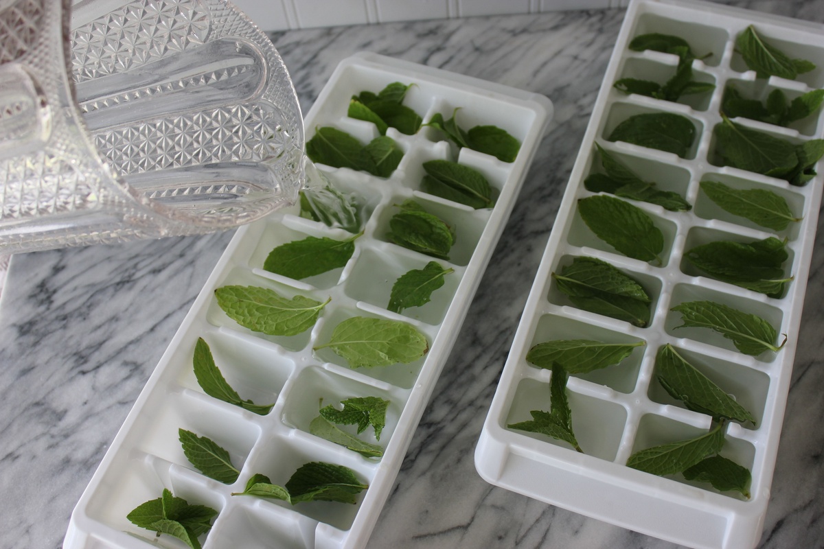 How To Store Mint Leaves In Fridge