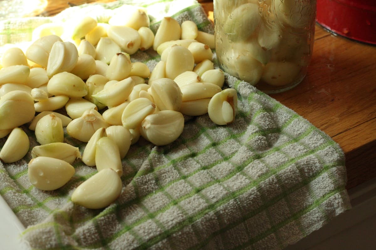 How To Store Peeled Garlic For Long Time