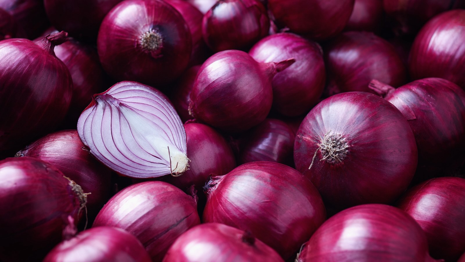 How To Store Purple Onions