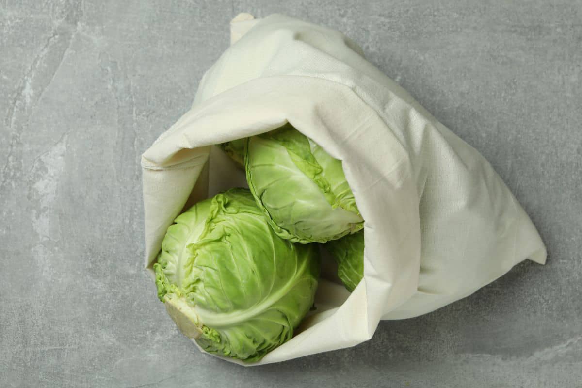 How To Store Raw Cabbage