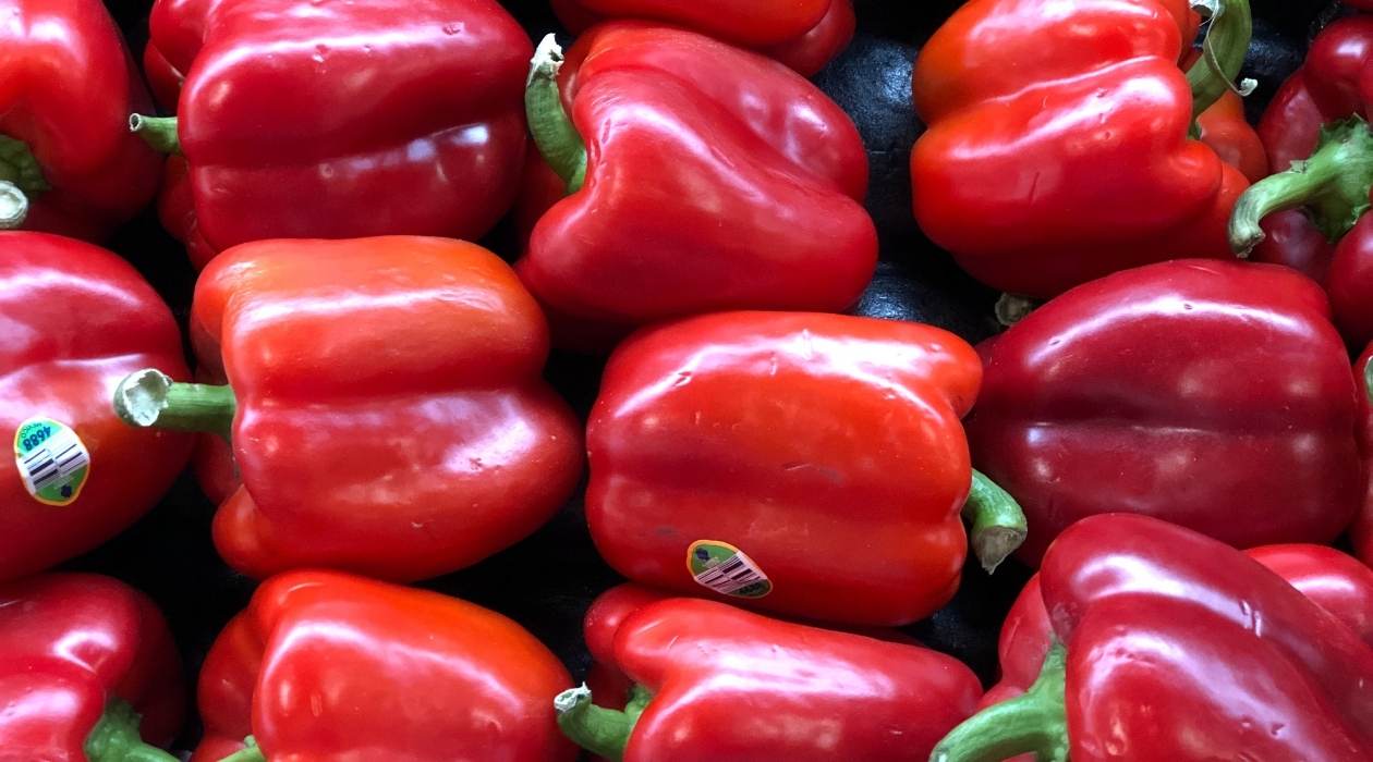 How To Store Red Bell Pepper