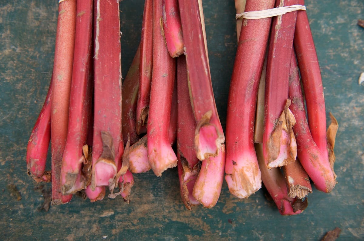 How To Store Rhubarb In Fridge