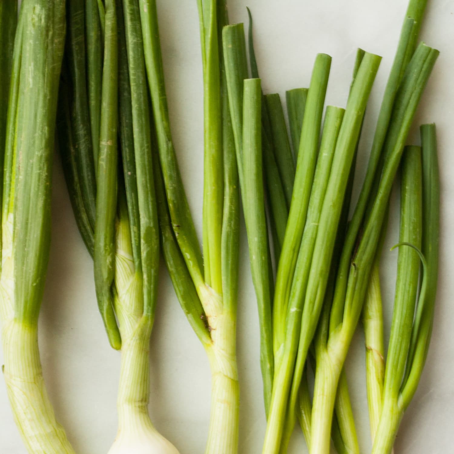 How To Store Scallions
