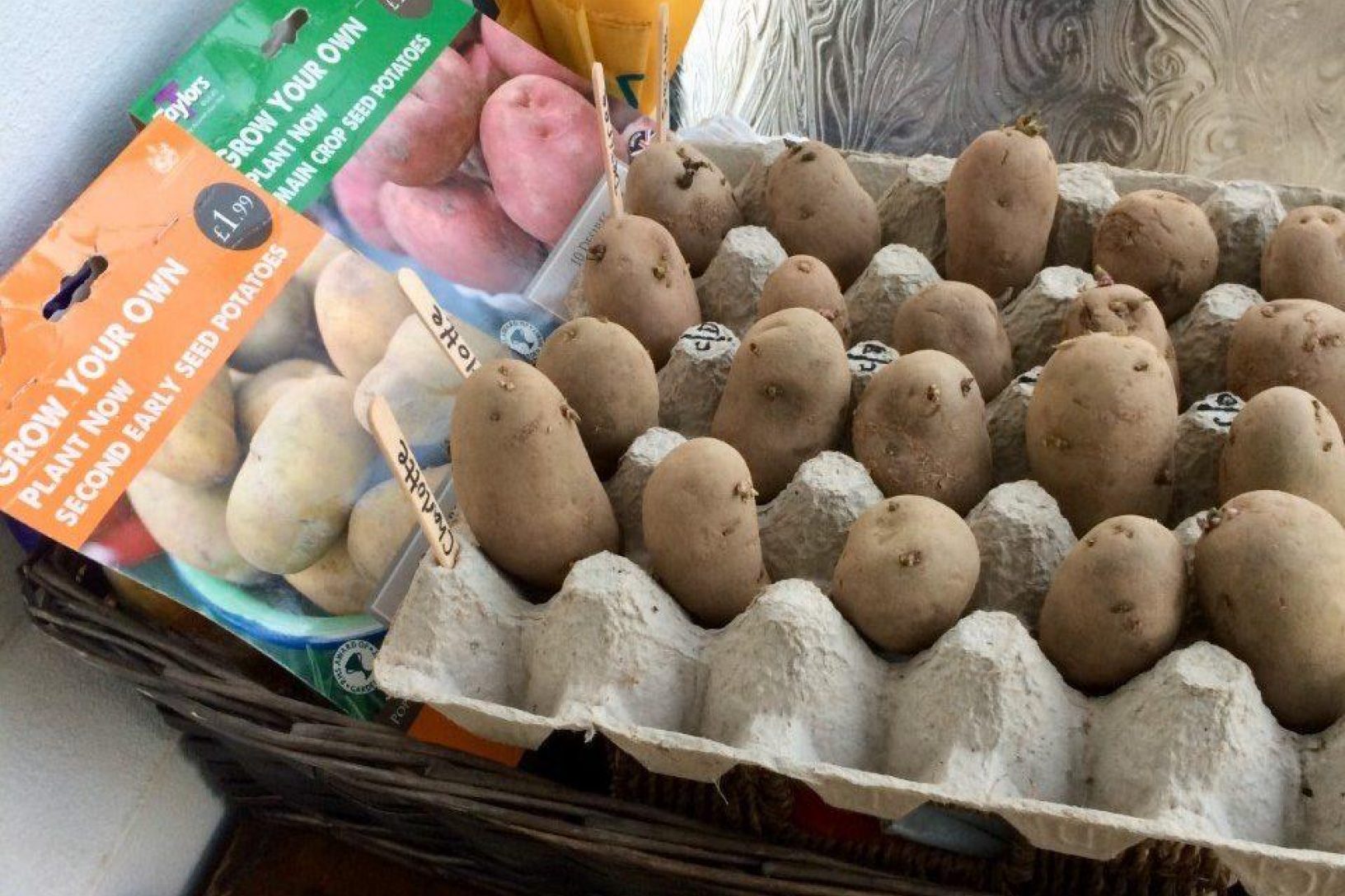 How To Store Seed Potatoes For Winter