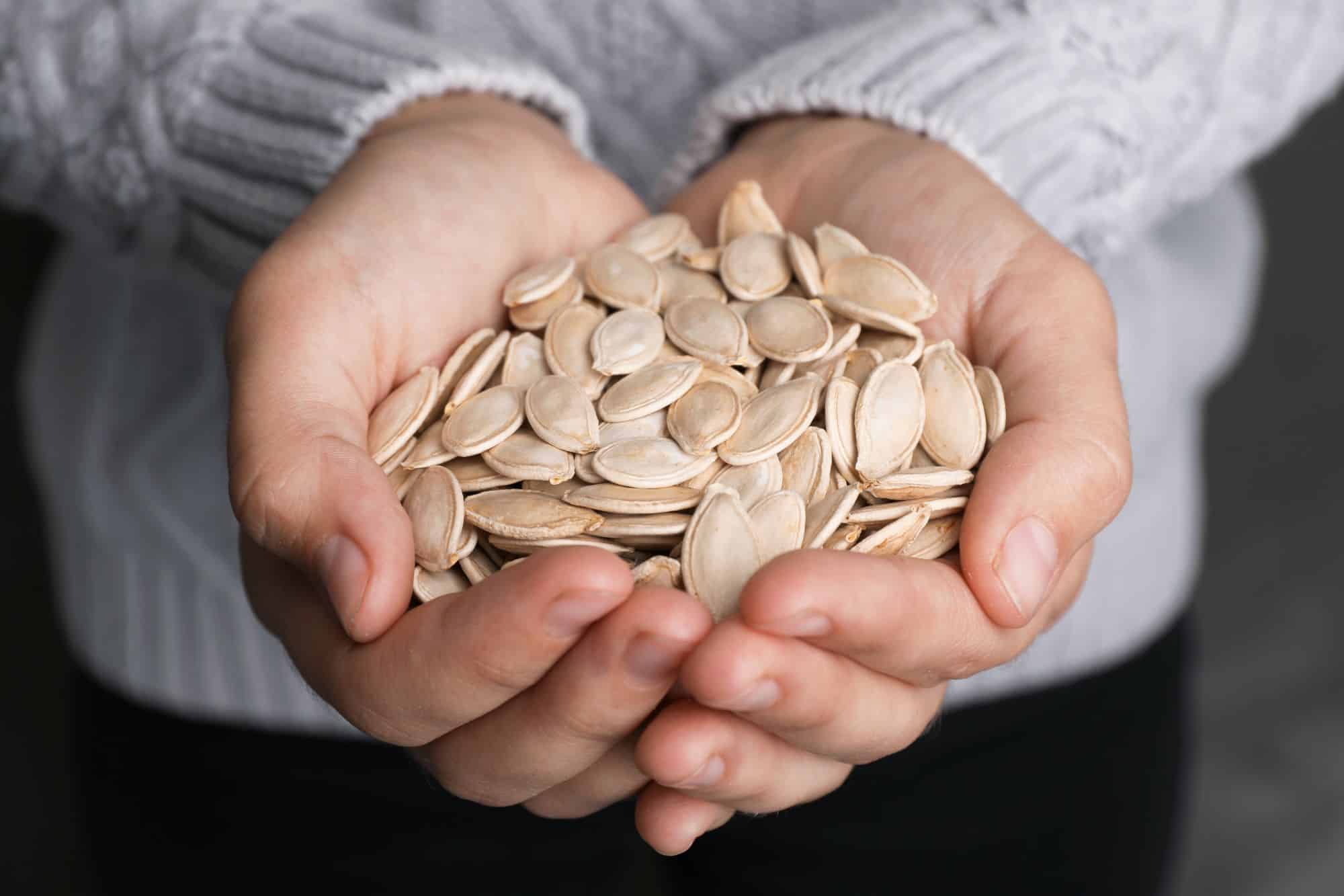 How To Store Seeds For Decades