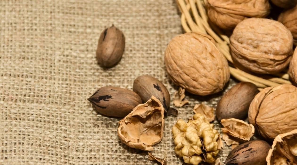 How To Store Shelled Walnuts And Pecans