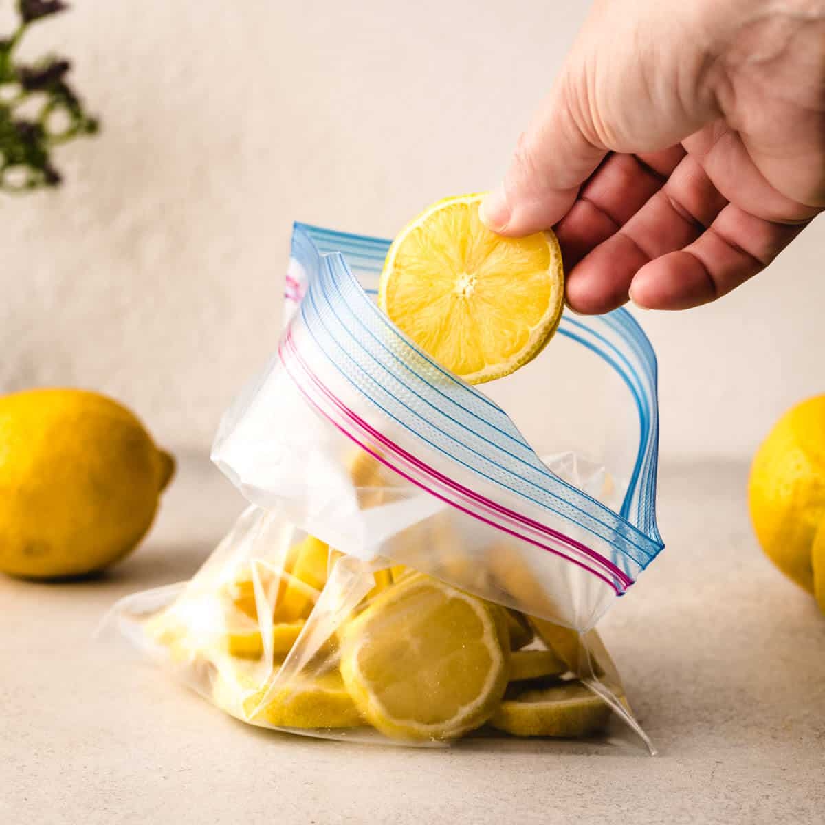 How To Store Sliced Lemons