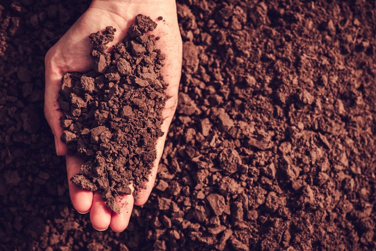 How To Store Soil To Maximize Its Benefits