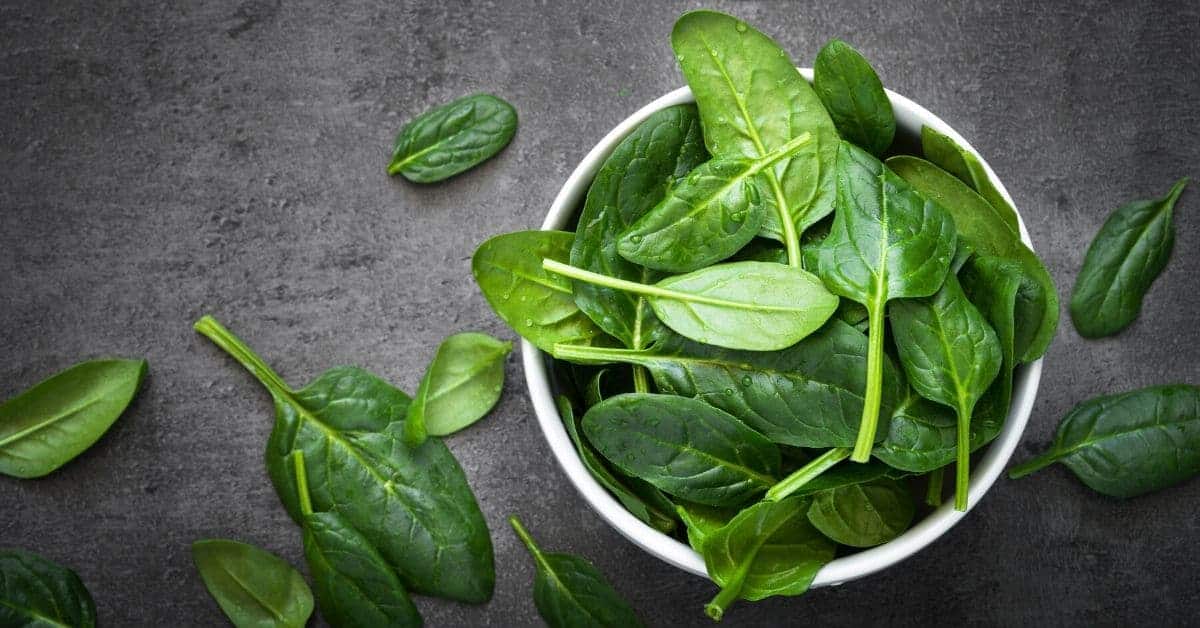 How To Store Spinach To Last Longer