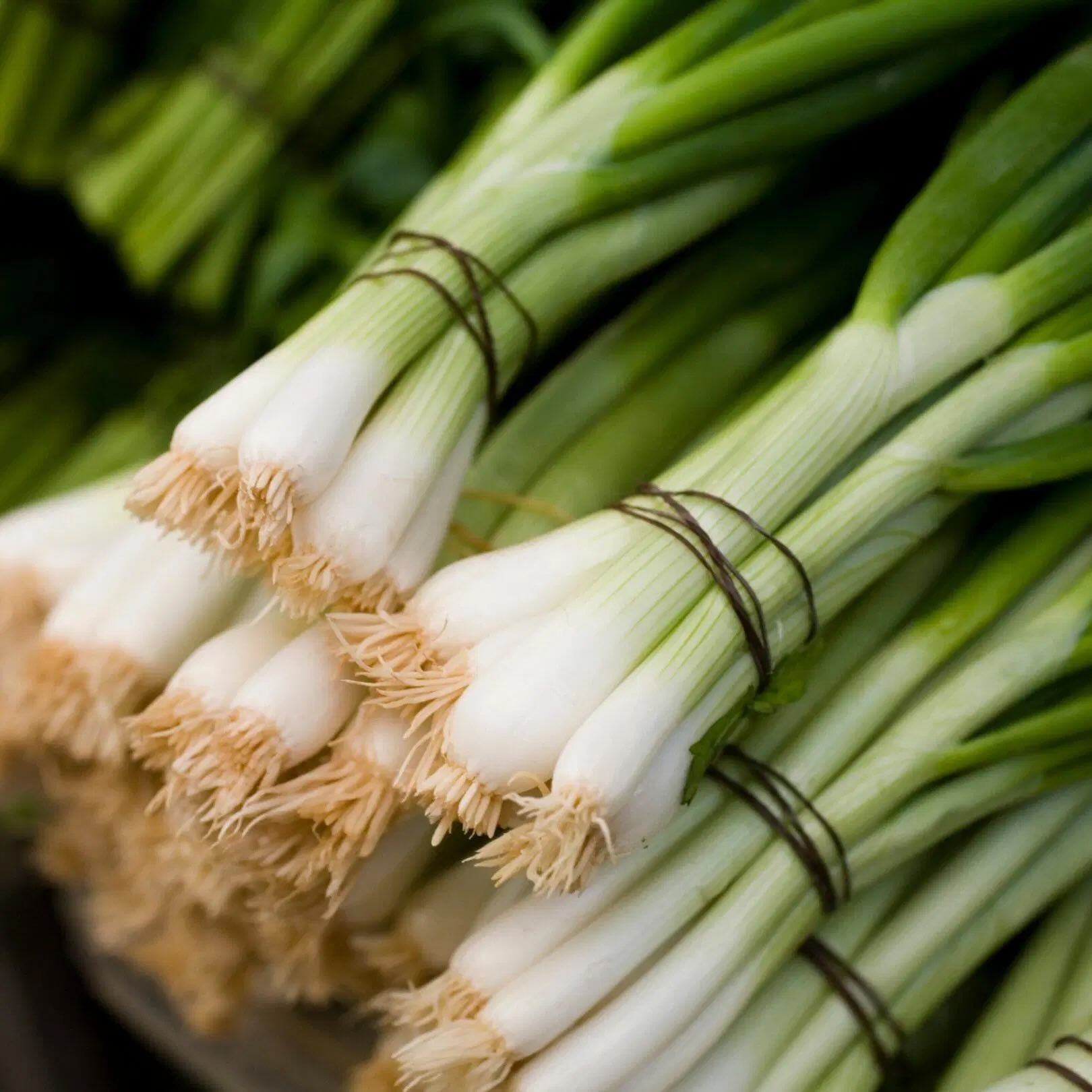 How To Store Spring Onions In Fridge Storables