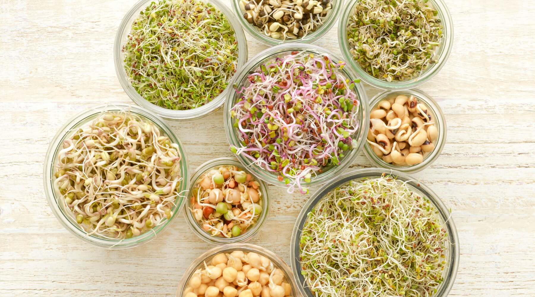 How To Store Sprouting Seeds Long Term