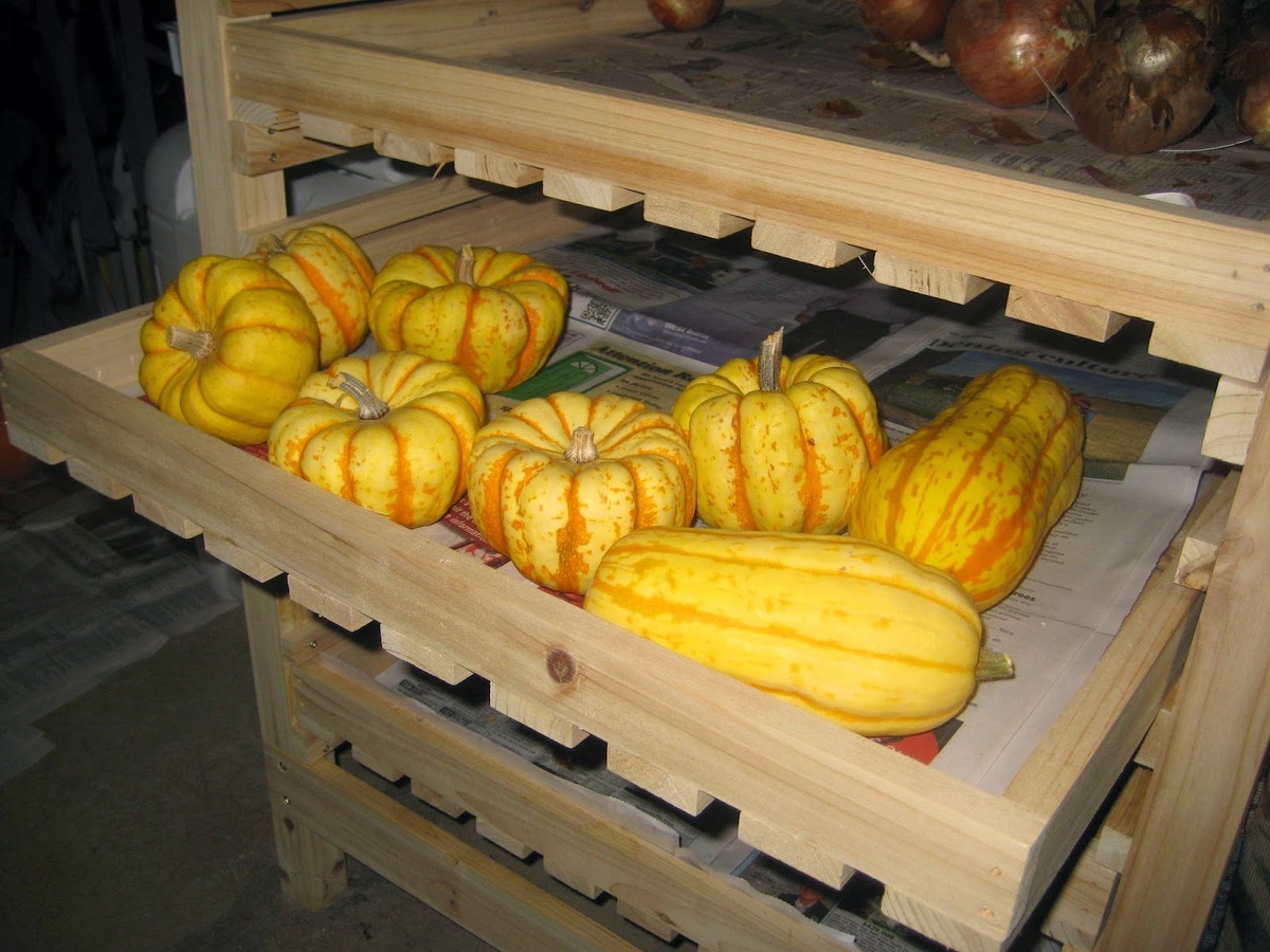How To Store Squash From The Garden