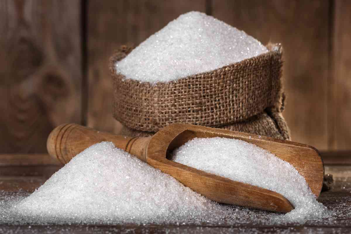 How To Store Sugar To Prevent Bugs