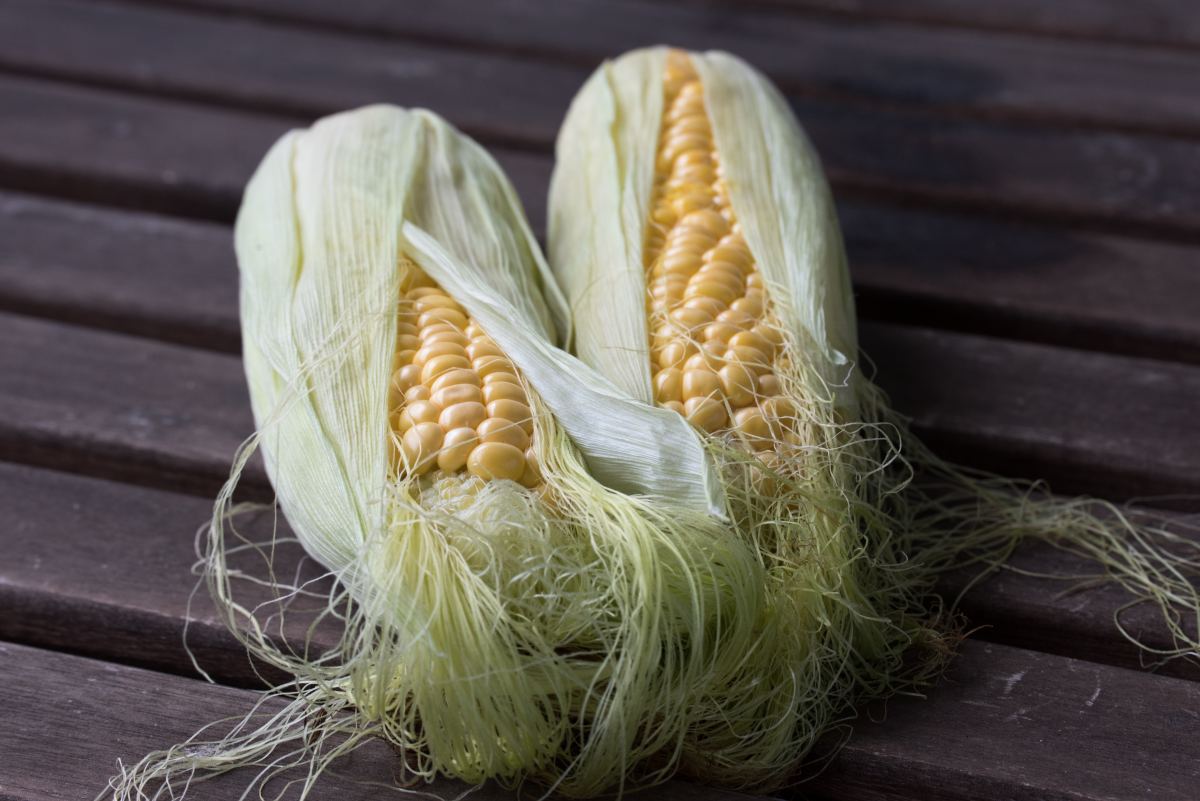 How To Store Sweet Corn In Freezer
