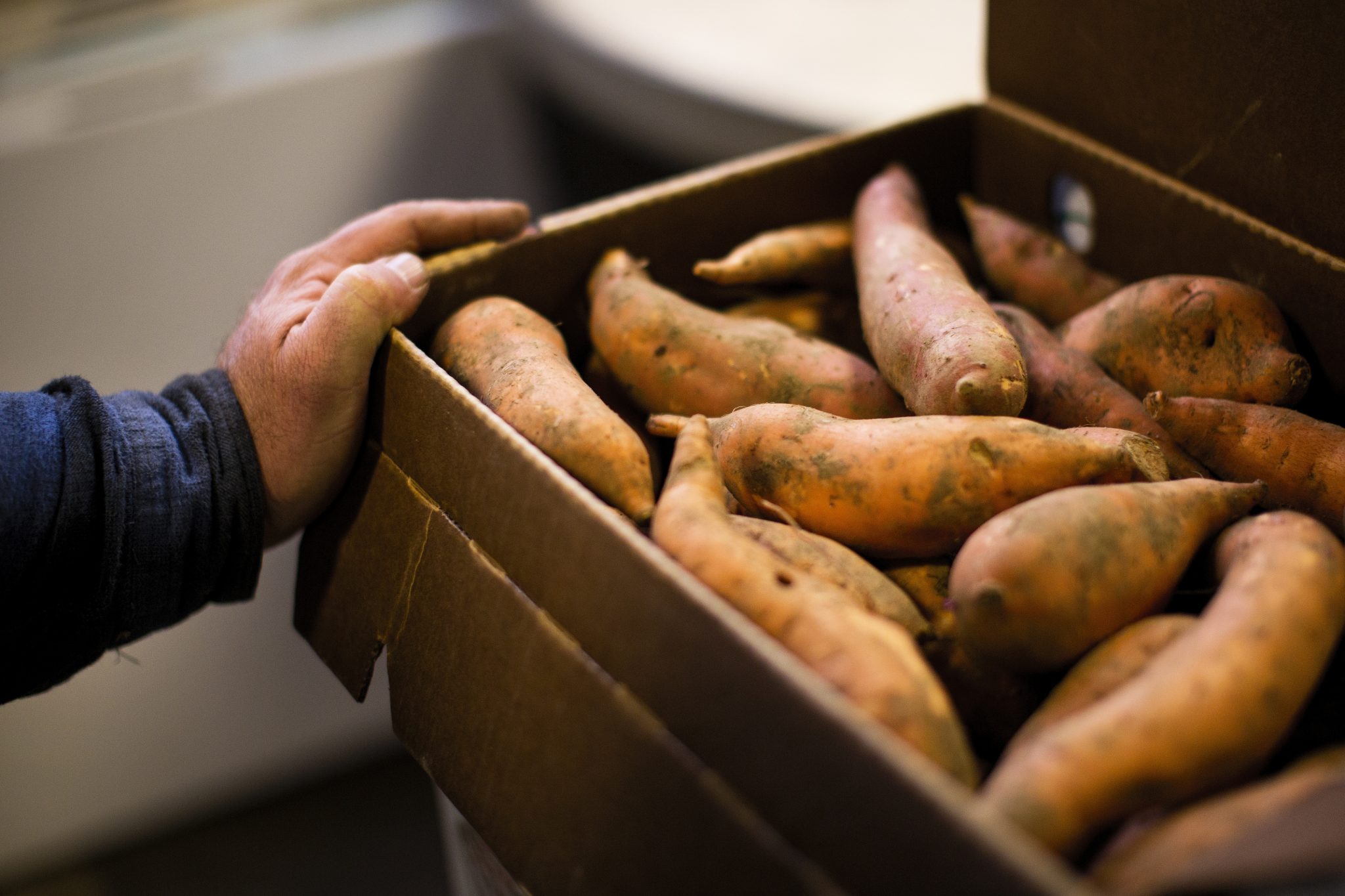 How To Store Sweet Potatoes Long Term