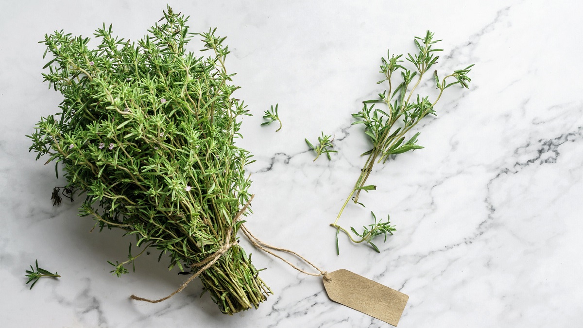 How To Store Thyme