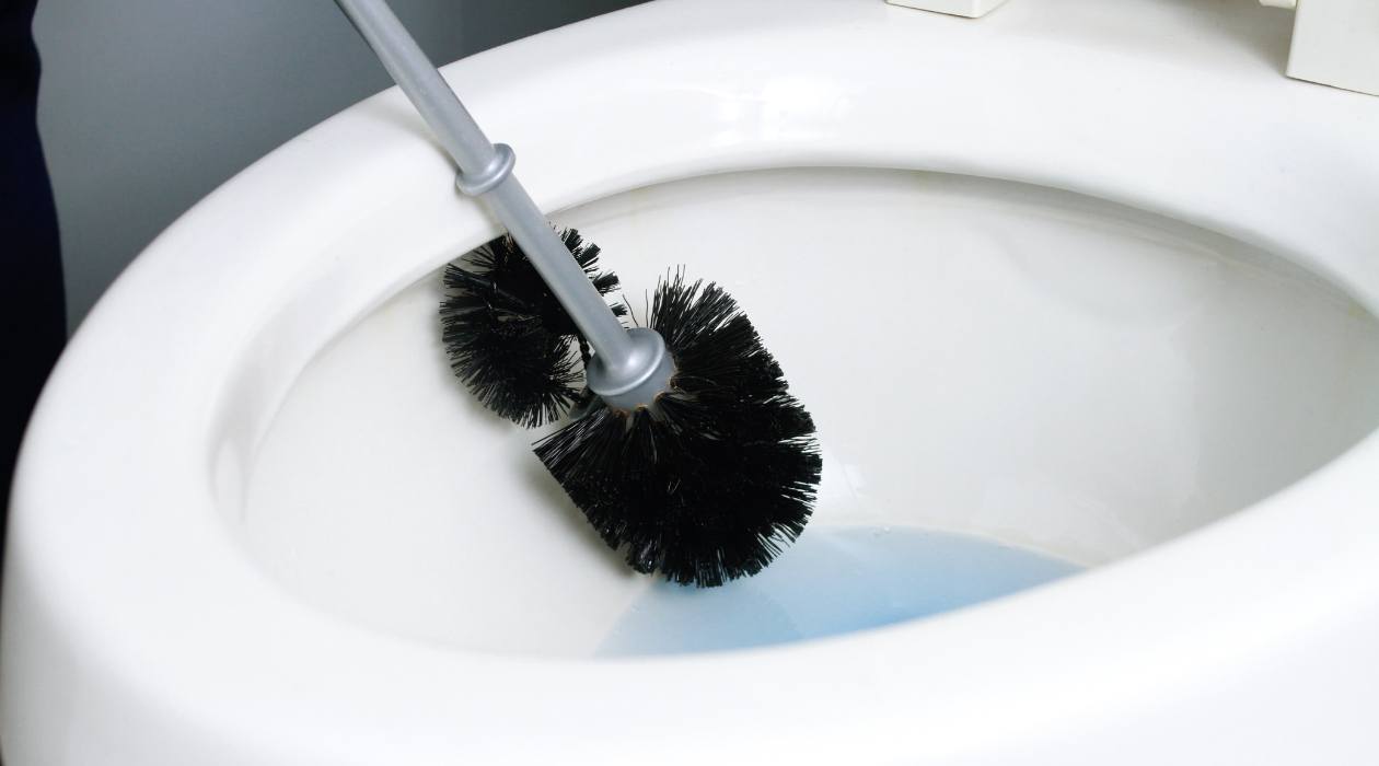 How To Store Toilet Brush