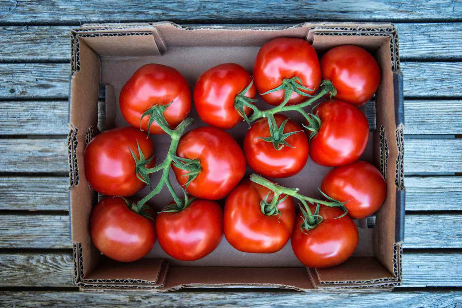 How To Store Tomatoes To Last Longer