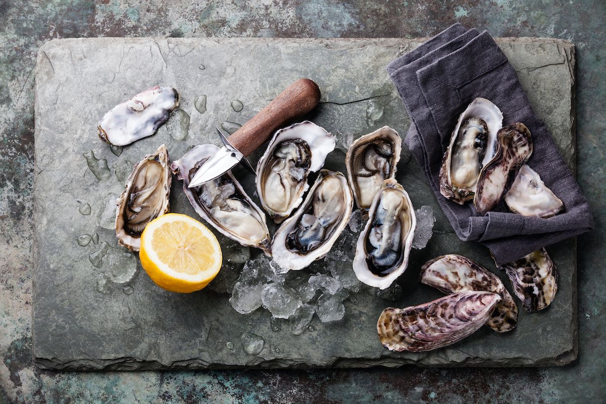 How To Store Unshucked Oysters