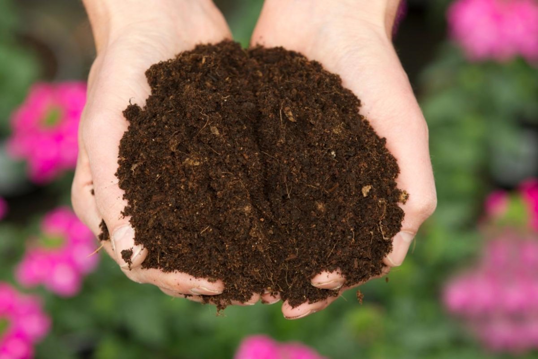 How To Store Used Potting Soil