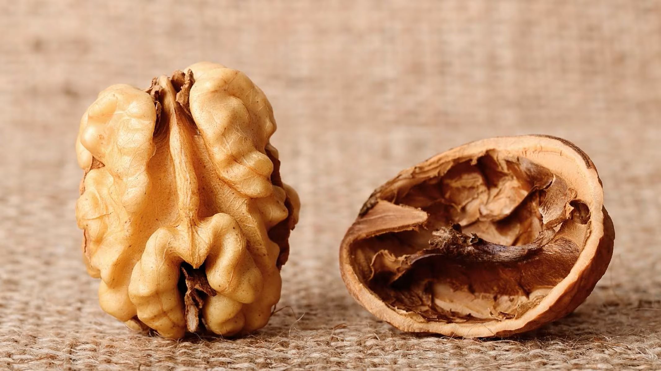 How To Store Walnuts After Opening