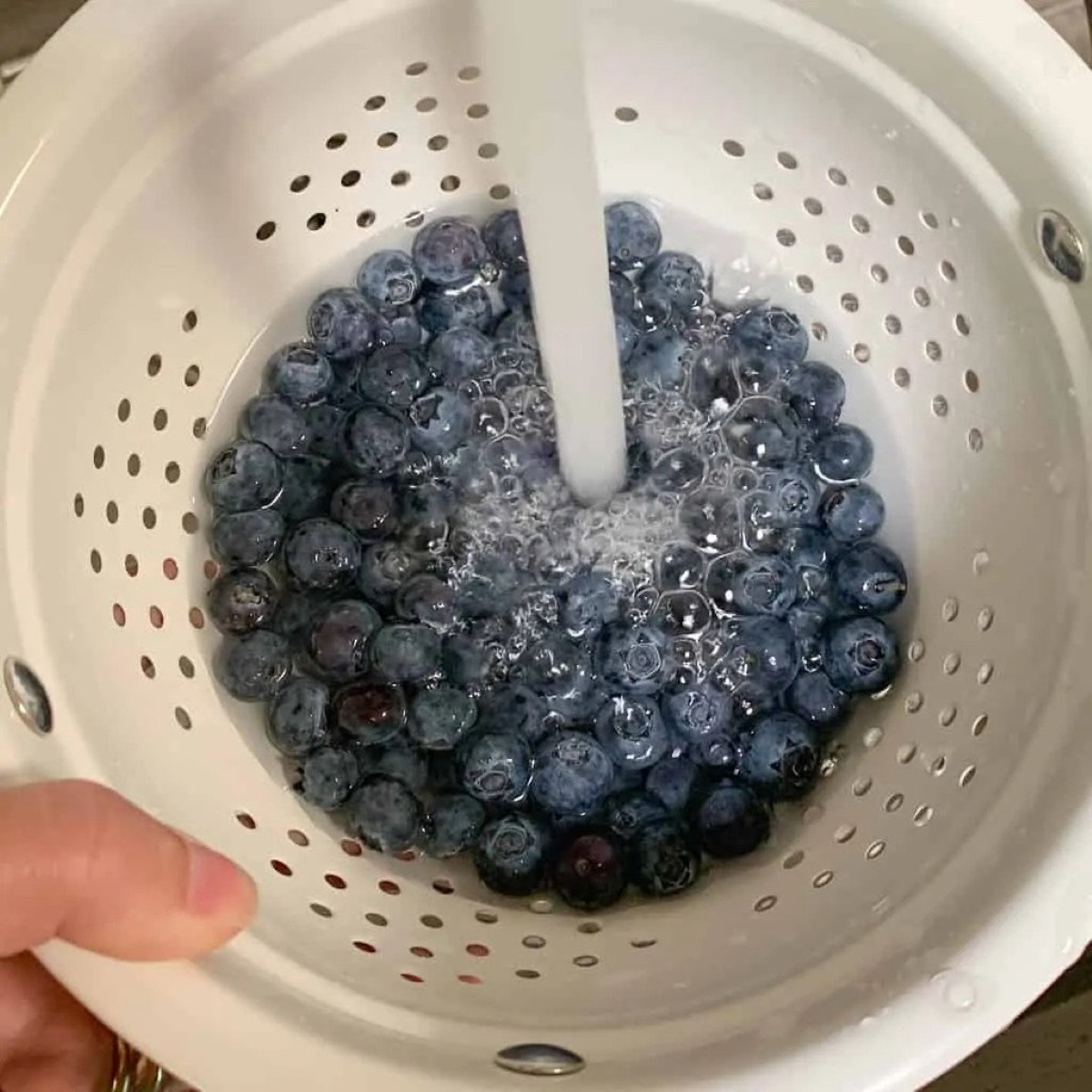 How To Store Washed Blueberries