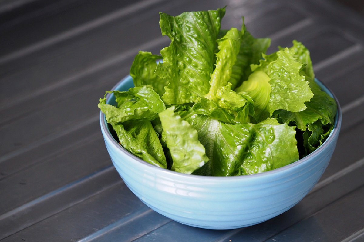 How To Store Washed Romaine Lettuce