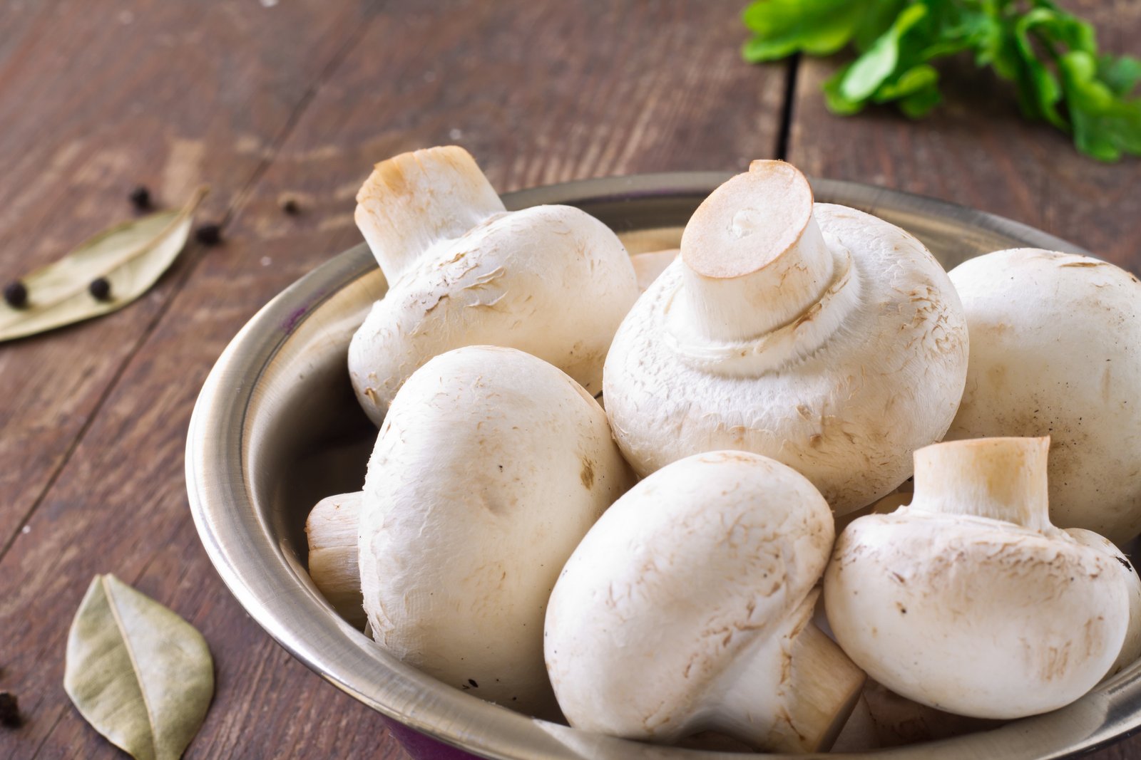 How To Store White Mushrooms