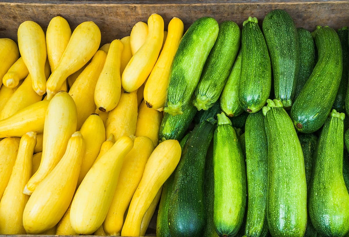 How To Store Zucchini And Yellow Squash