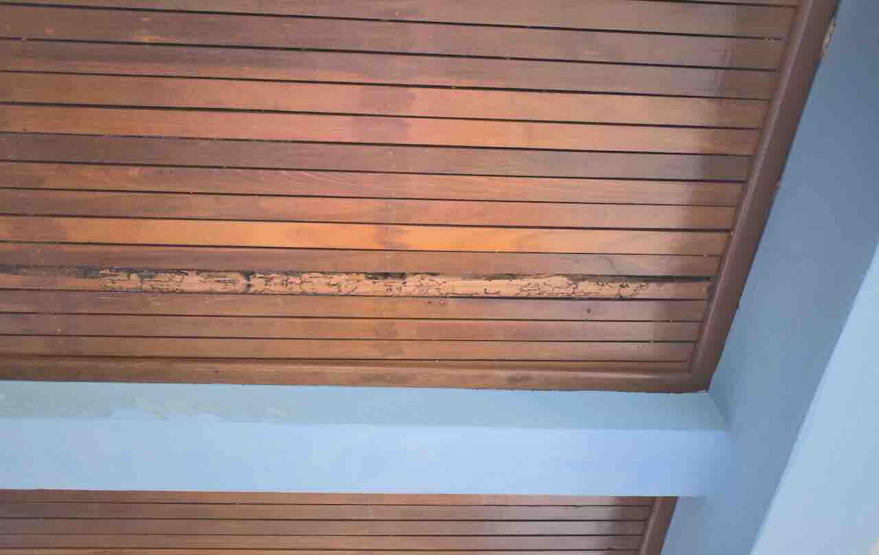 How To Treat Termites In The Ceiling