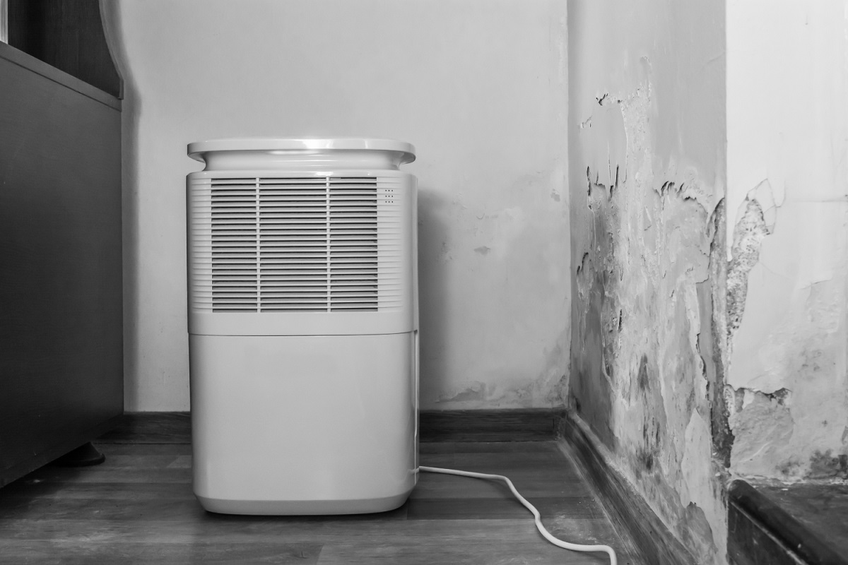 How To Use Dehumidifier For Basement