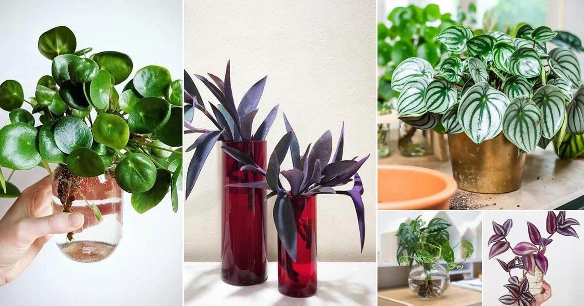 How To Use Glass Vases As Planters
