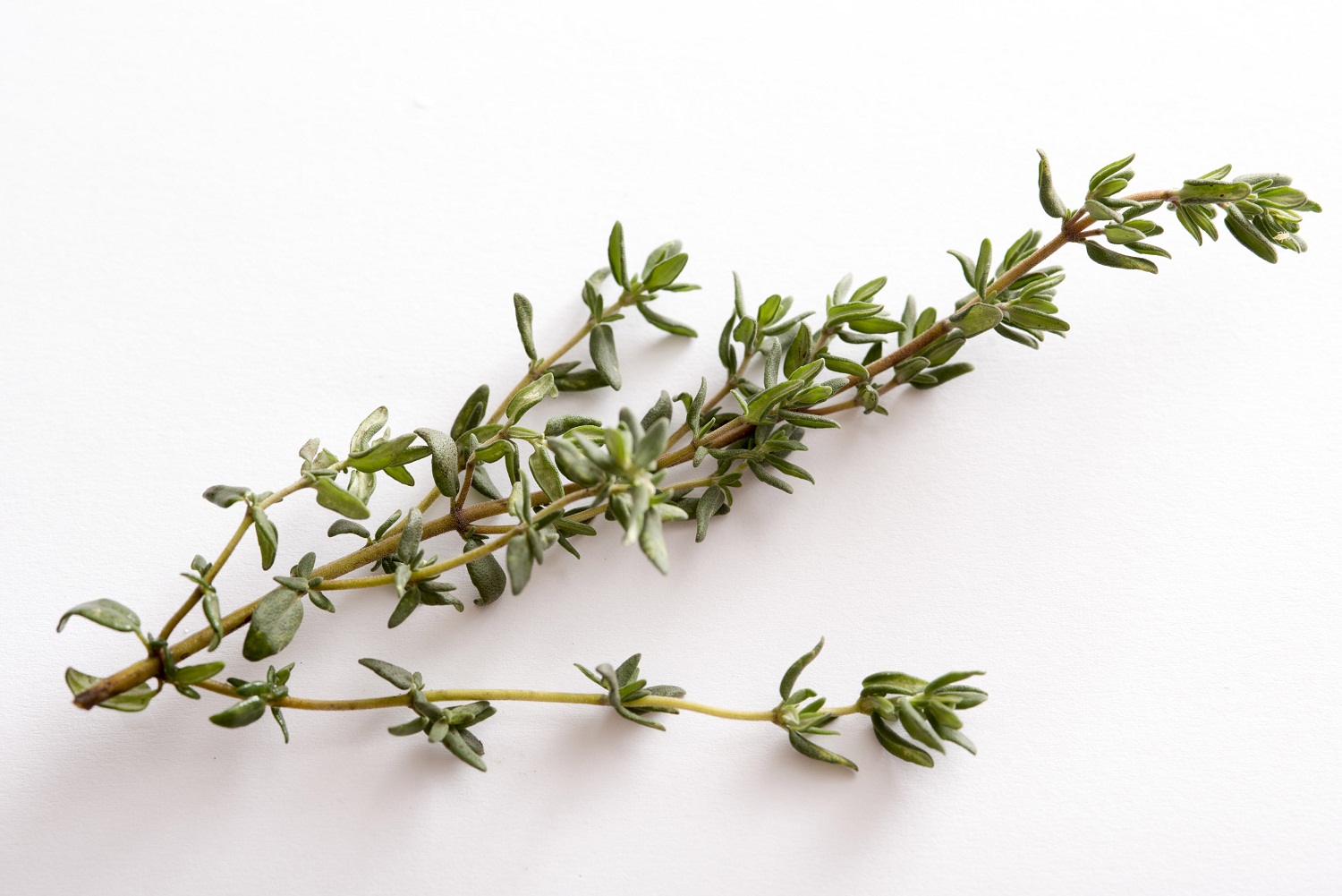 What Are Sprigs Of Thyme
