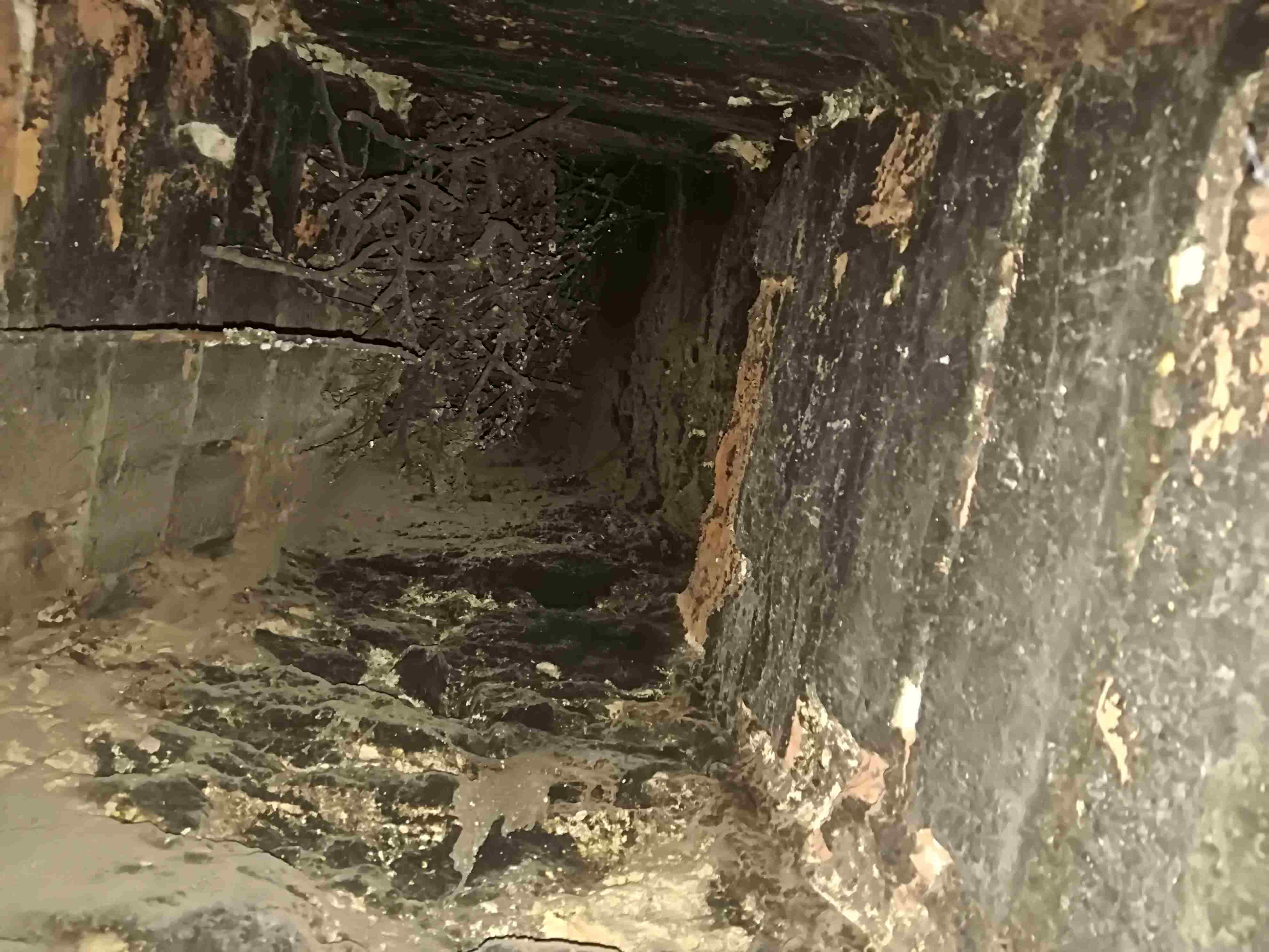 What Does The Inside Of A Chimney Look Like