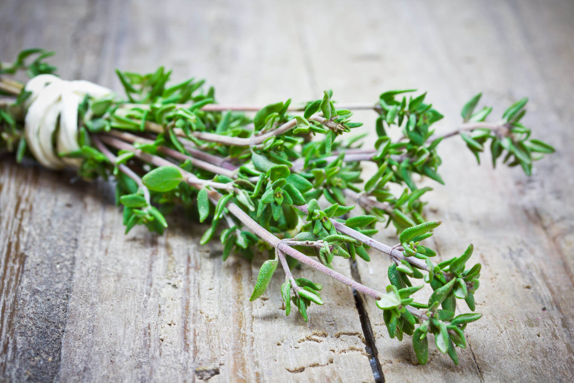 What Goes Well With Thyme