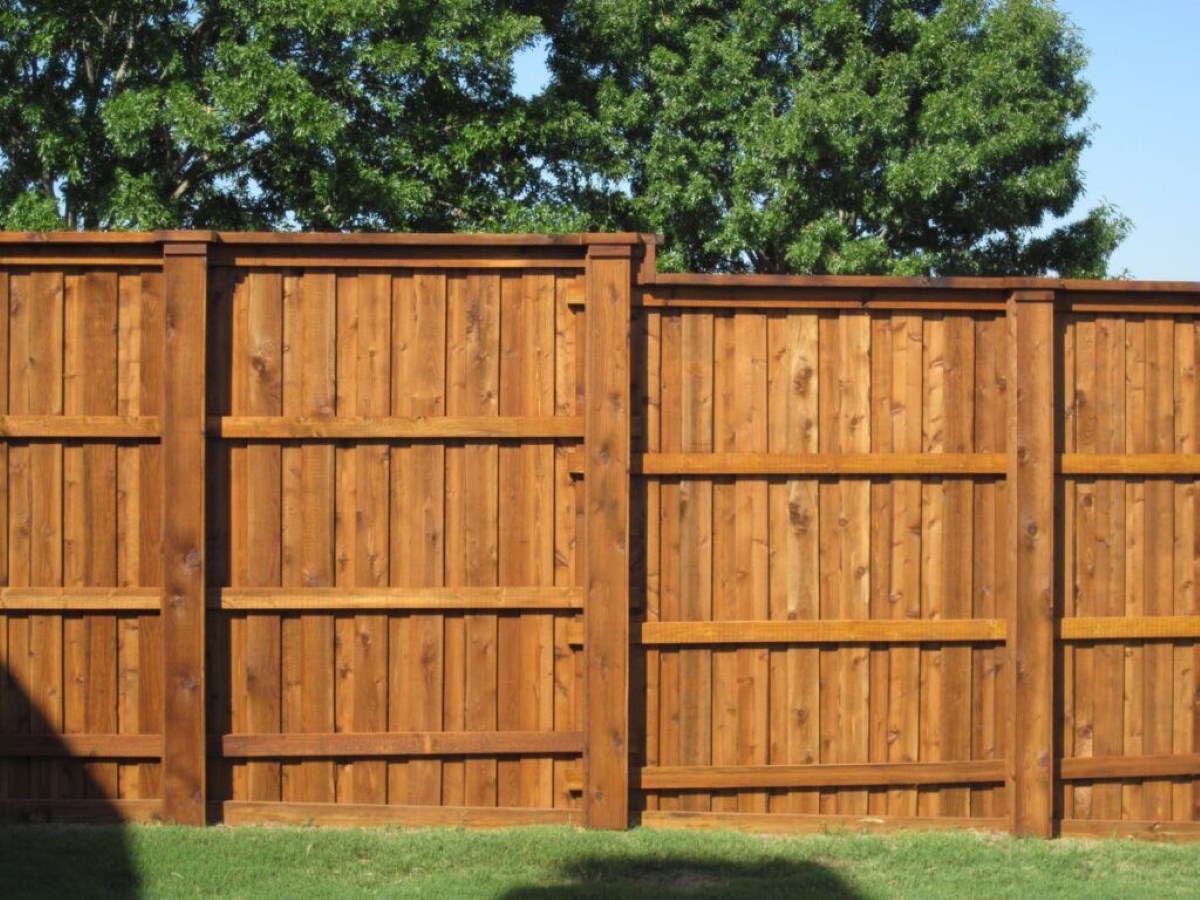 What Is The Best Wood For A Fence