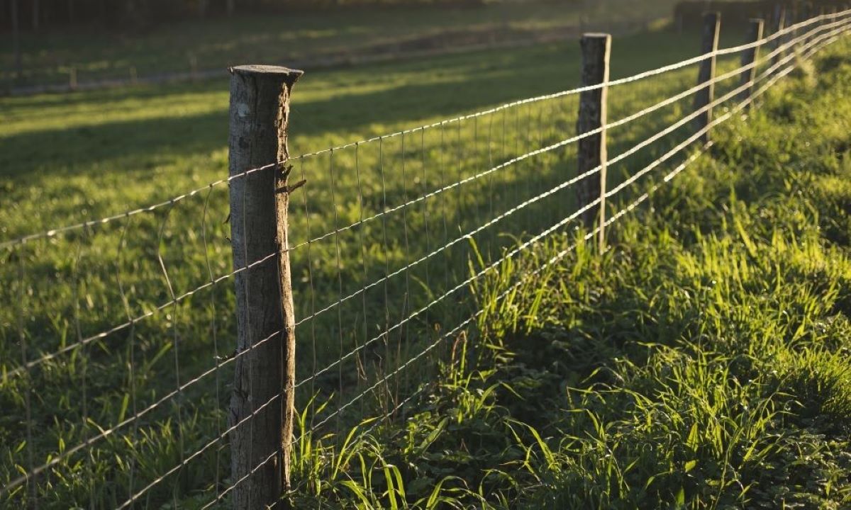 What Is The Ideal T-Post Size For A 4-Foot Fence