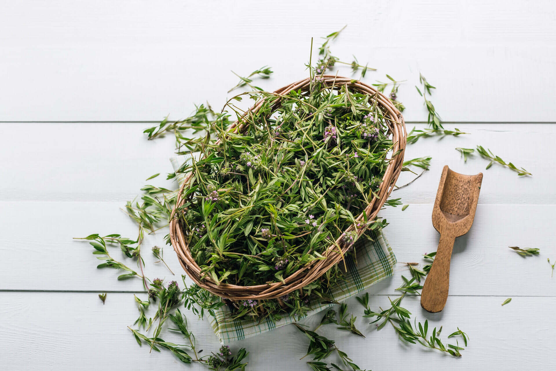 What Is Thyme Herb Good For
