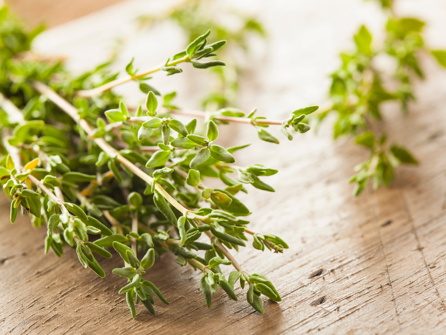 What Is Thyme Used For