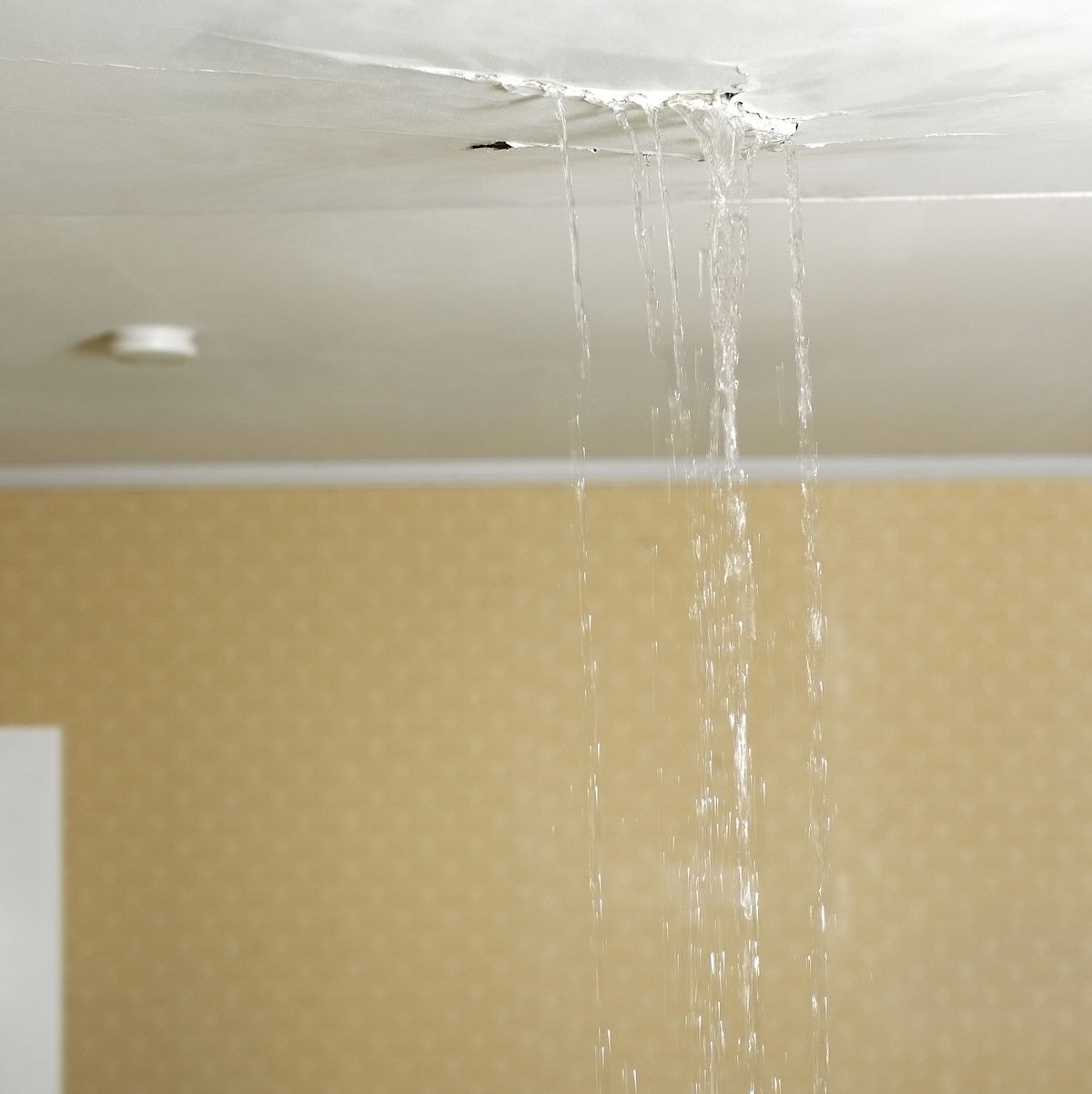 What To Do When Ceiling Is Leaking