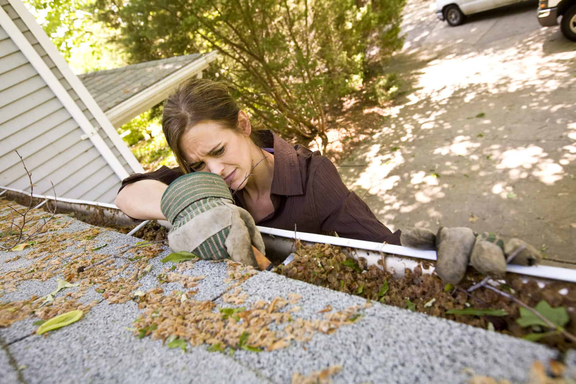 When Is The Best Time To Clean Gutters