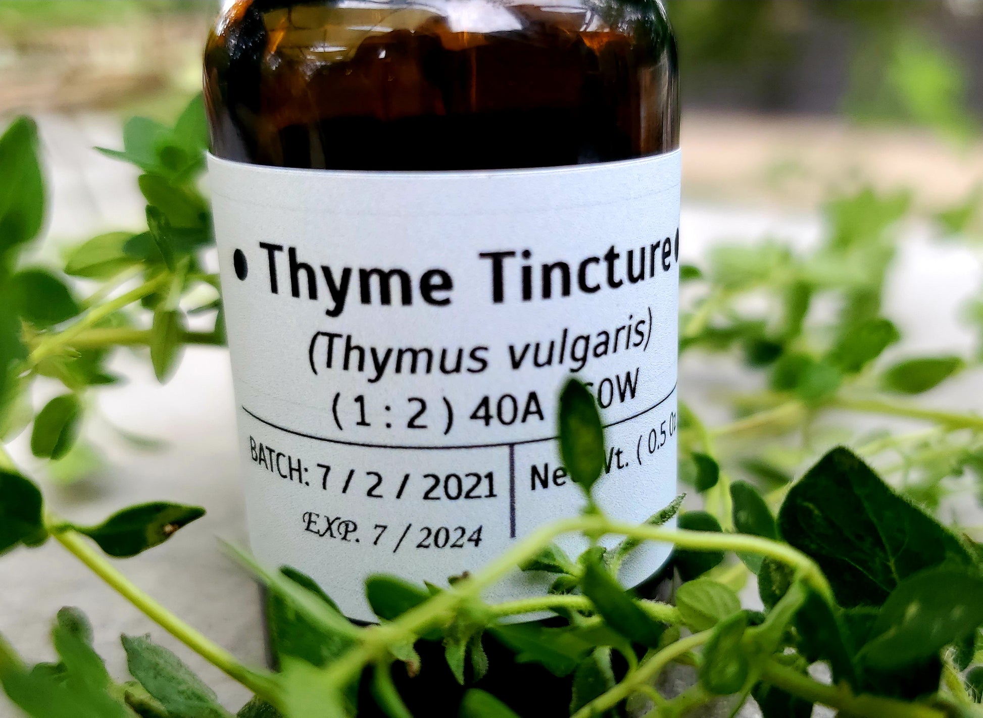 Where Can I Buy Thyme Tincture